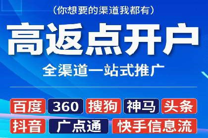 百度广告投放策略优化及成功案例解析